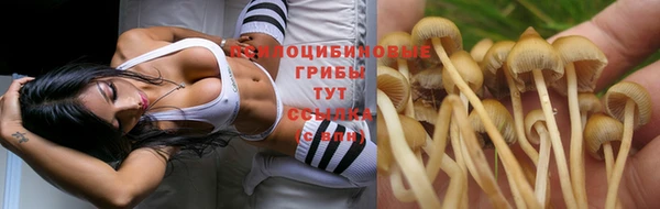 амфетамин Алексин