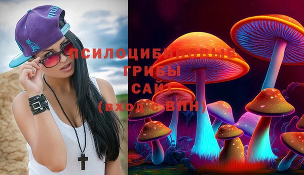 а пвп мука Алзамай