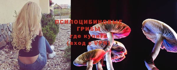гидропоника Абаза