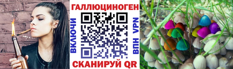 Галлюциногенные грибы MAGIC MUSHROOMS  Кадников 